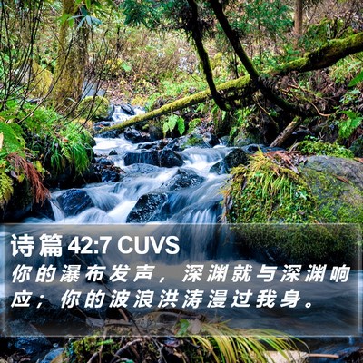 诗 篇 42:7 CUVS Bible Verse Image
