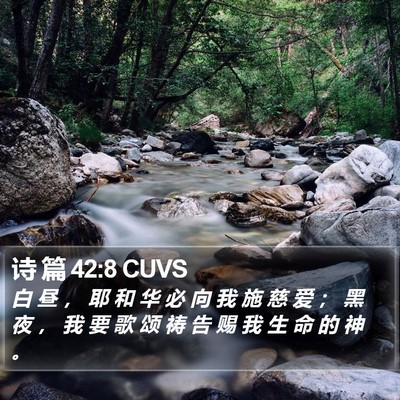 诗 篇 42:8 CUVS Bible Verse Image