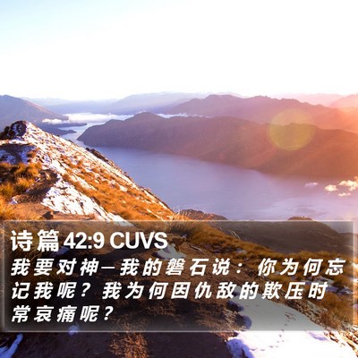 诗 篇 42:9 CUVS Bible Verse Image
