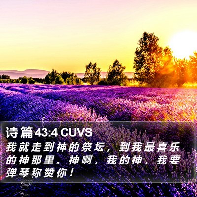 诗 篇 43:4 CUVS Bible Verse Image