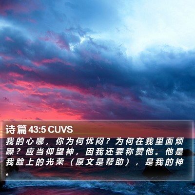 诗 篇 43:5 CUVS Bible Verse Image