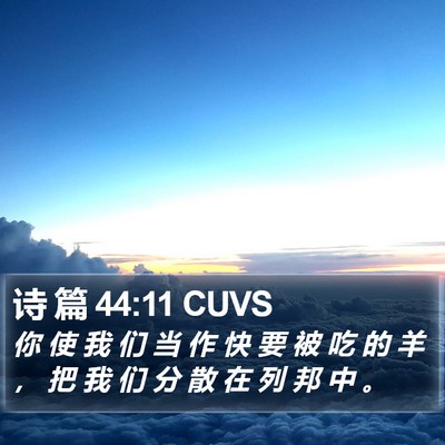 诗 篇 44:11 CUVS Bible Verse Image