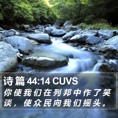 诗 篇 44:14 CUVS Bible Verse Image