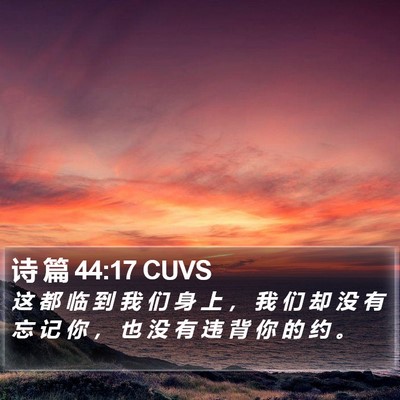 诗 篇 44:17 CUVS Bible Verse Image