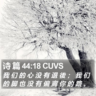 诗 篇 44:18 CUVS Bible Verse Image
