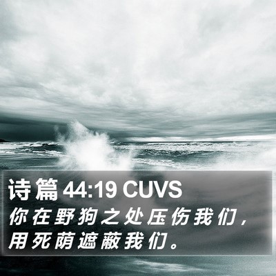 诗 篇 44:19 CUVS Bible Verse Image
