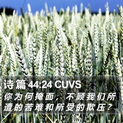 诗 篇 44:24 CUVS Bible Verse Image