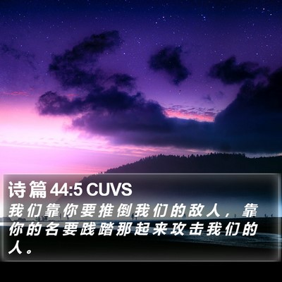 诗 篇 44:5 CUVS Bible Verse Image