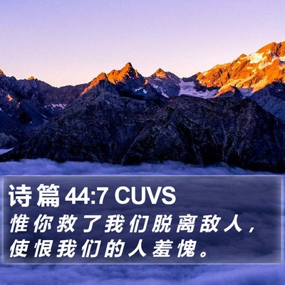诗 篇 44:7 CUVS Bible Verse Image