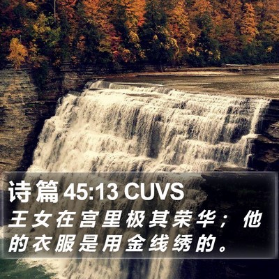 诗 篇 45:13 CUVS Bible Verse Image