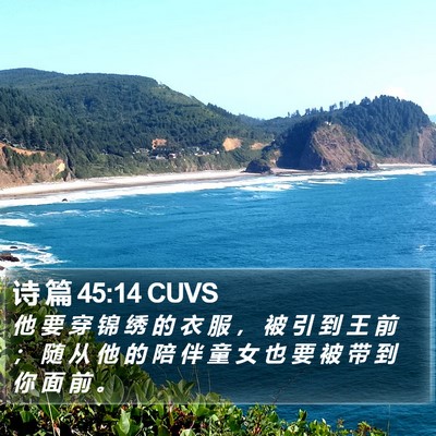 诗 篇 45:14 CUVS Bible Verse Image