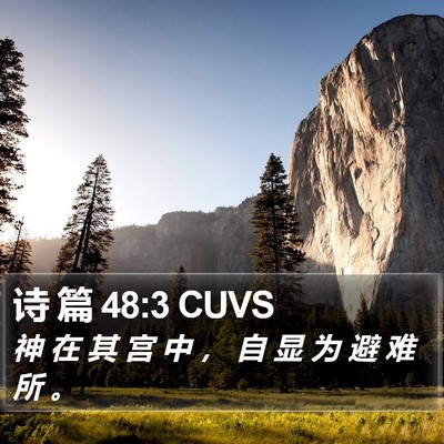 诗 篇 48:3 CUVS Bible Verse Image