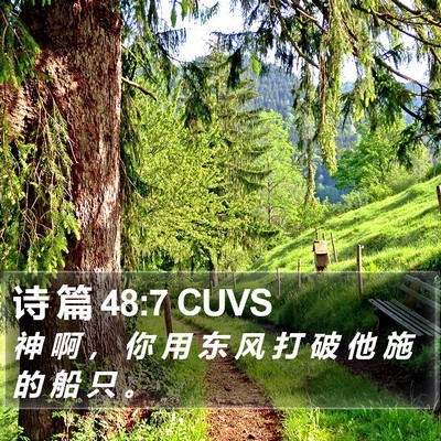 诗 篇 48:7 CUVS Bible Verse Image