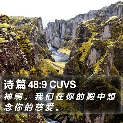 诗 篇 48:9 CUVS Bible Verse Image
