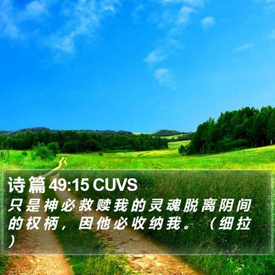 诗 篇 49:15 CUVS Bible Verse Image