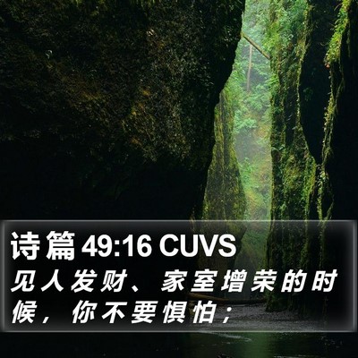 诗 篇 49:16 CUVS Bible Verse Image