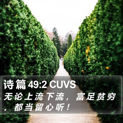 诗 篇 49:2 CUVS Bible Verse Image
