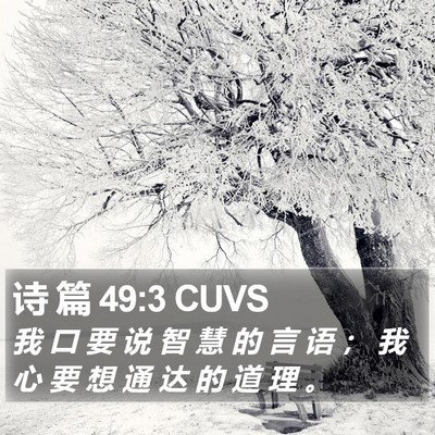 诗 篇 49:3 CUVS Bible Verse Image
