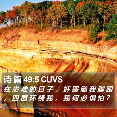 诗 篇 49:5 CUVS Bible Verse Image