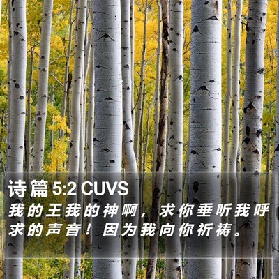 诗 篇 5:2 CUVS Bible Verse Image