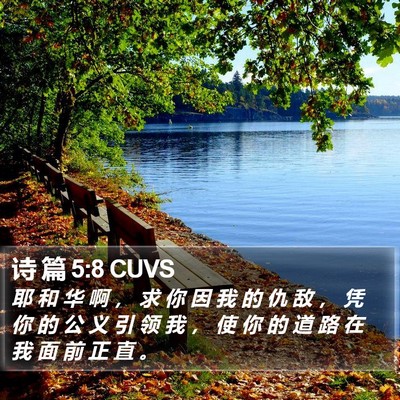 诗 篇 5:8 CUVS Bible Verse Image