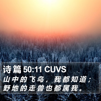 诗 篇 50:11 CUVS Bible Verse Image