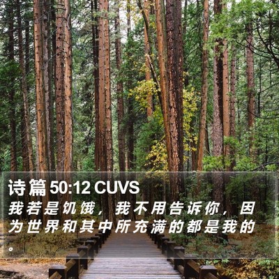 诗 篇 50:12 CUVS Bible Verse Image