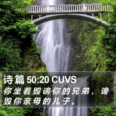 诗 篇 50:20 CUVS Bible Verse Image