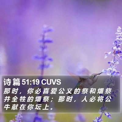 诗 篇 51:19 CUVS Bible Verse Image