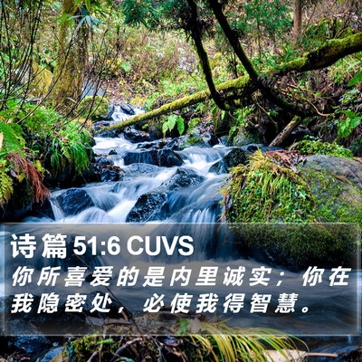 诗 篇 51:6 CUVS Bible Verse Image