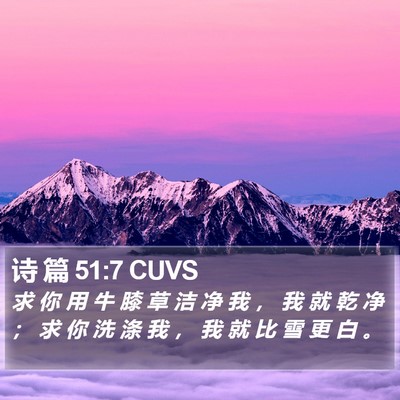 诗 篇 51:7 CUVS Bible Verse Image