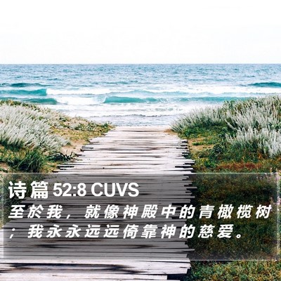 诗 篇 52:8 CUVS Bible Verse Image