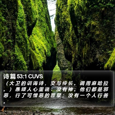 诗 篇 53:1 CUVS Bible Verse Image