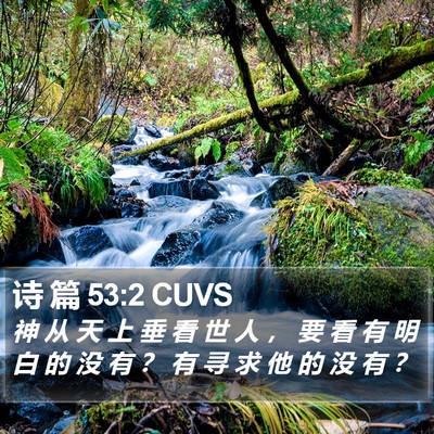 诗 篇 53:2 CUVS Bible Verse Image