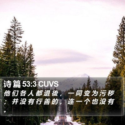 诗 篇 53:3 CUVS Bible Verse Image