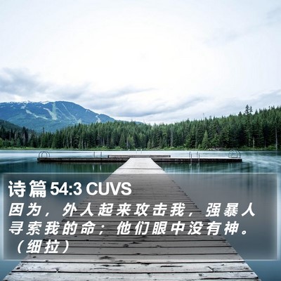 诗 篇 54:3 CUVS Bible Verse Image
