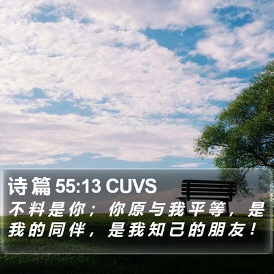 诗 篇 55:13 CUVS Bible Verse Image