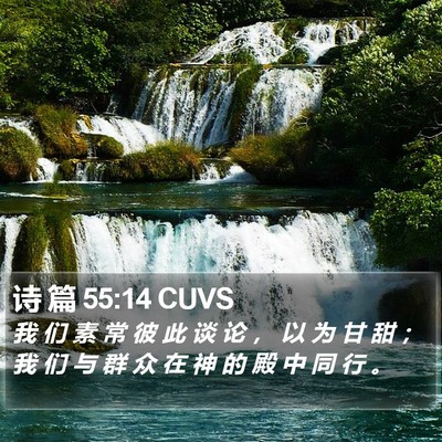 诗 篇 55:14 CUVS Bible Verse Image
