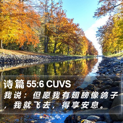 诗 篇 55:6 CUVS Bible Verse Image