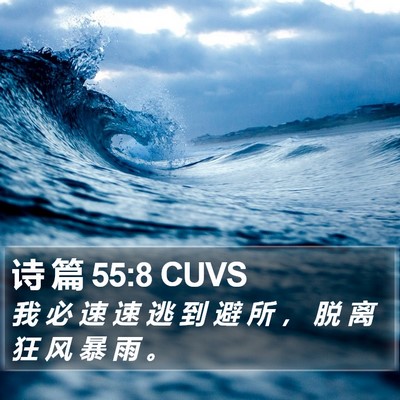 诗 篇 55:8 CUVS Bible Verse Image