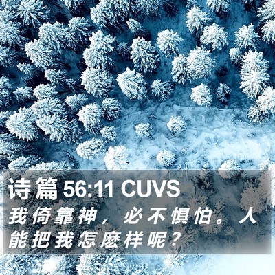 诗 篇 56:11 CUVS Bible Verse Image
