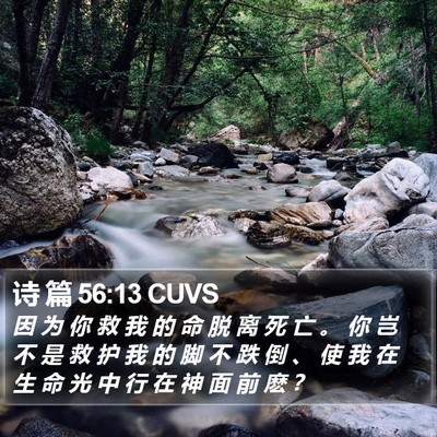 诗 篇 56:13 CUVS Bible Verse Image