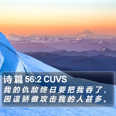 诗 篇 56:2 CUVS Bible Verse Image
