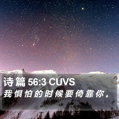 诗 篇 56:3 CUVS Bible Verse Image