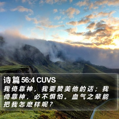 诗 篇 56:4 CUVS Bible Verse Image