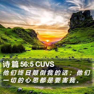 诗 篇 56:5 CUVS Bible Verse Image
