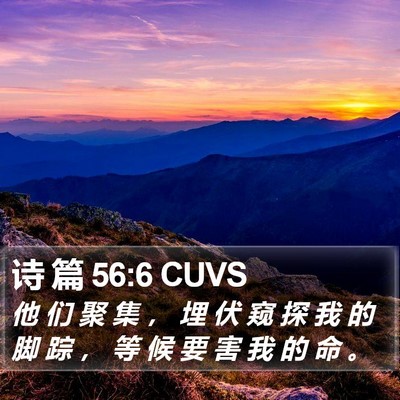 诗 篇 56:6 CUVS Bible Verse Image