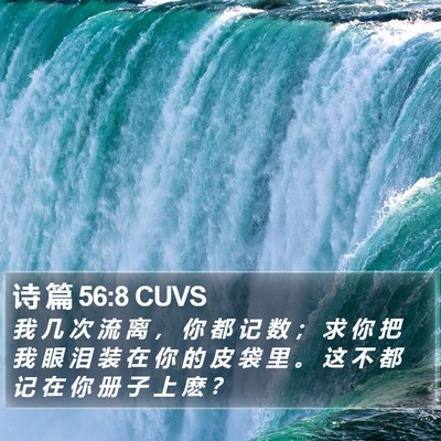 诗 篇 56:8 CUVS Bible Verse Image