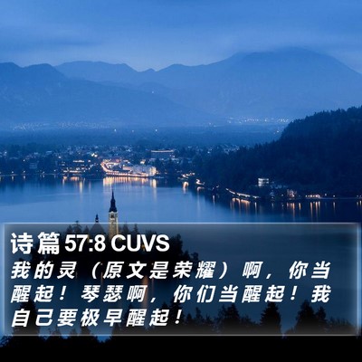 诗 篇 57:8 CUVS Bible Verse Image