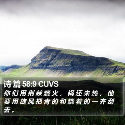 诗 篇 58:9 CUVS Bible Verse Image